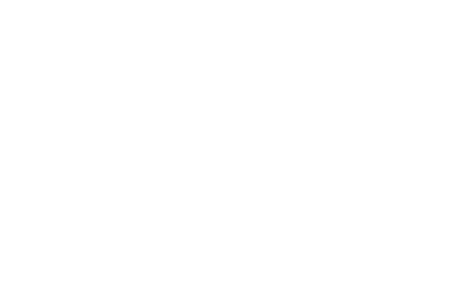 nlmwa-logo-updated-2025-313-x-125-px-1